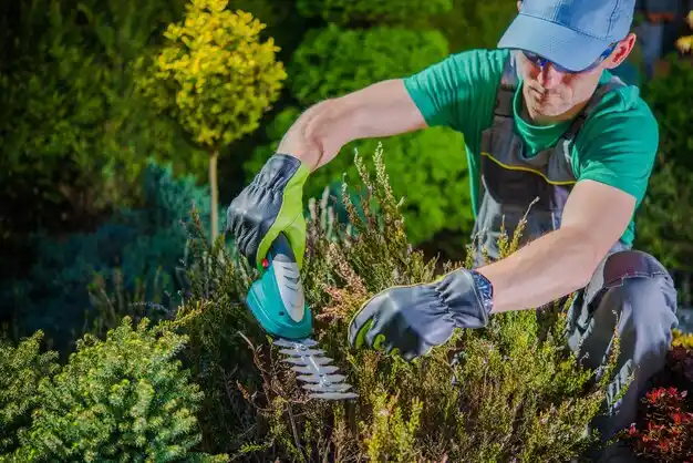 landscaping services Rushville